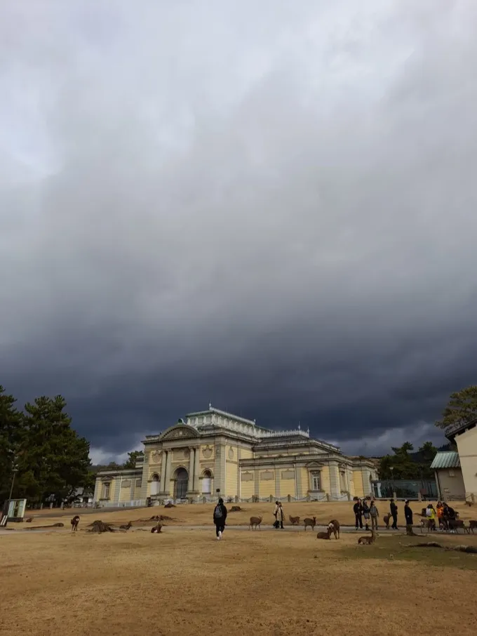 Nara National Museum