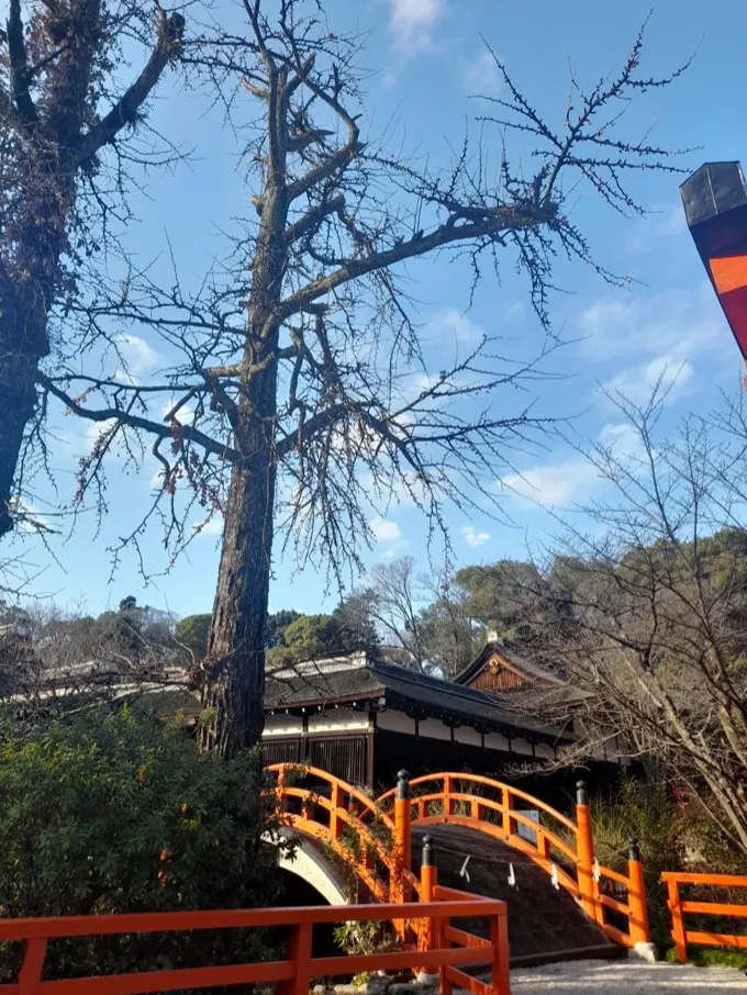 Gallery image 8